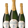 V.E. Franciacorta Brut Ricci Curbastro